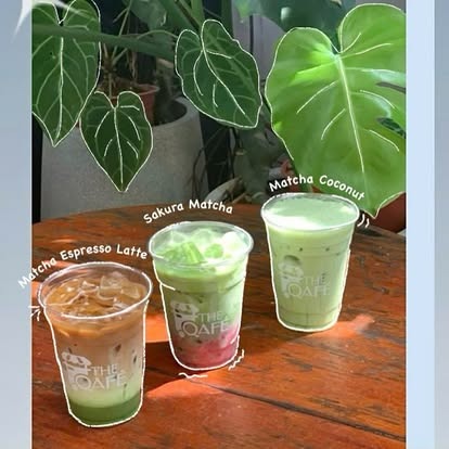 Matcha drinks at The Qafé